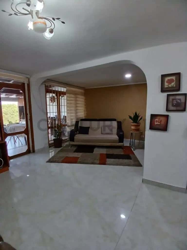 Vista 4