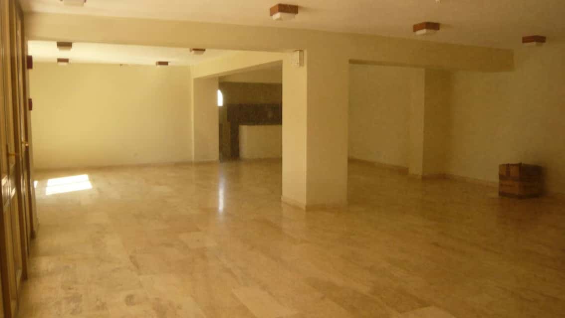 Vista 24