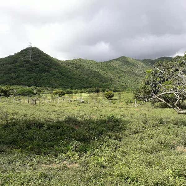 Vista 9