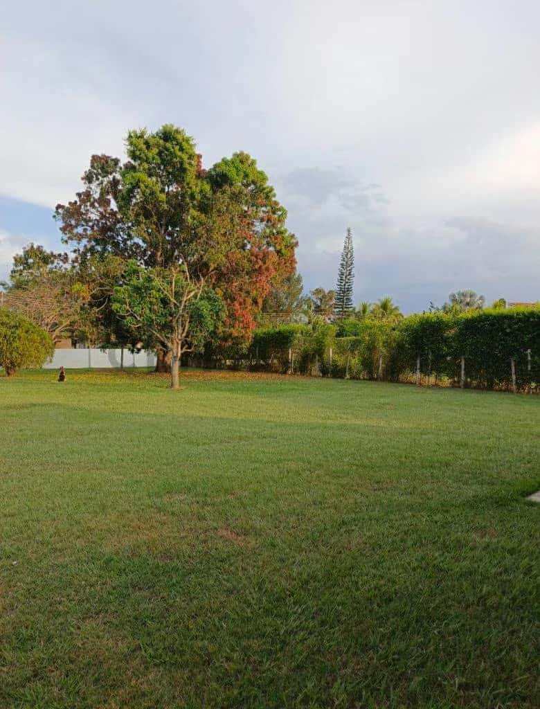 Vista 3