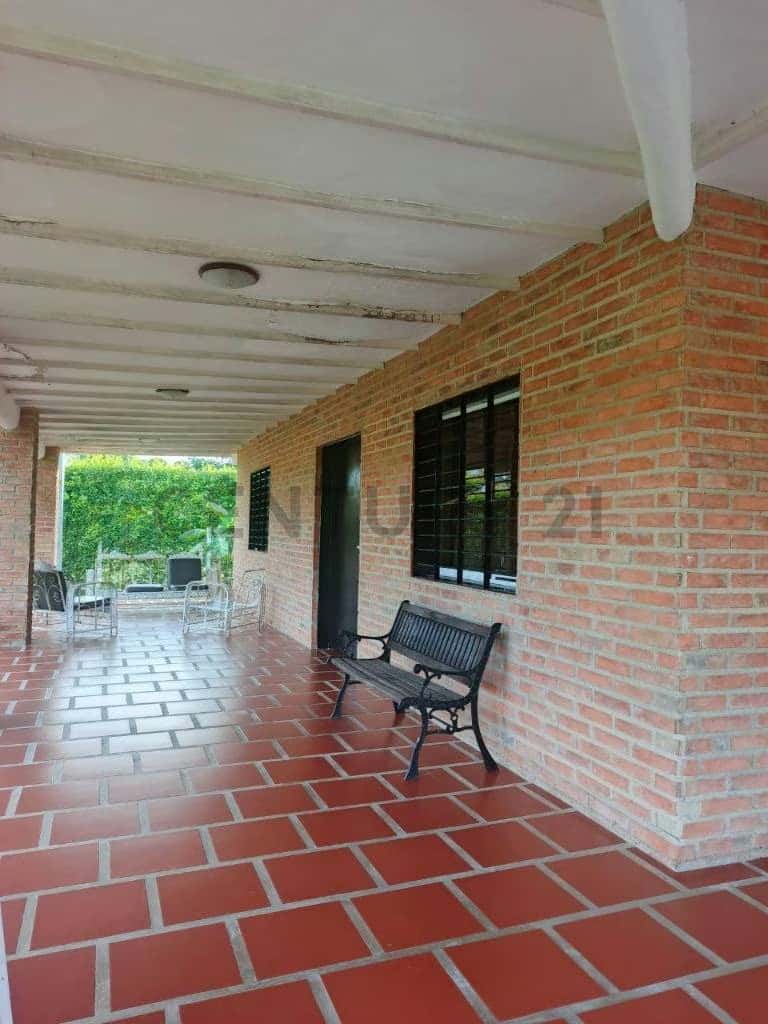 Vista 4