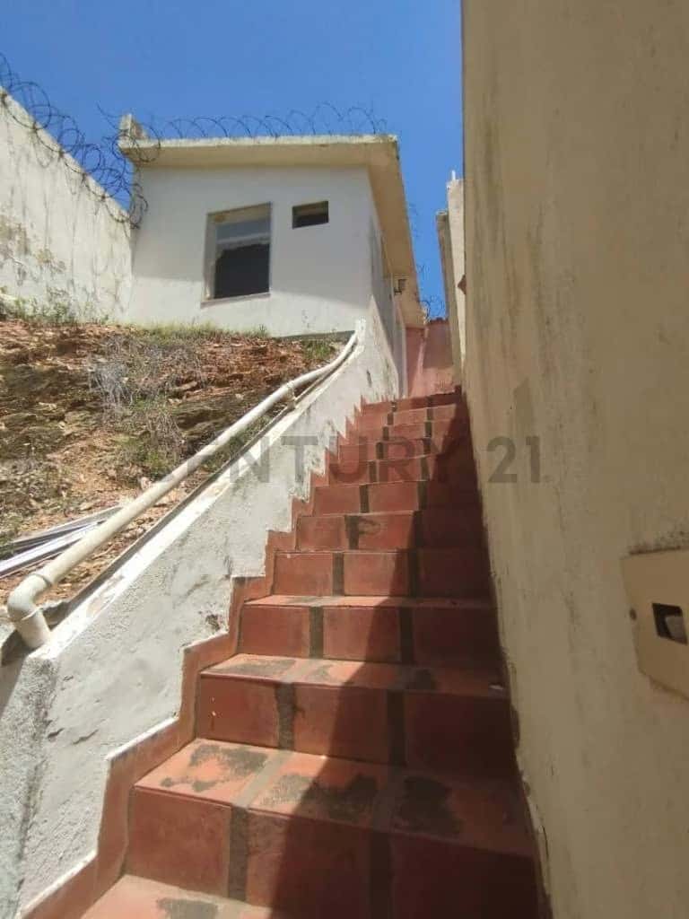 Vista 24