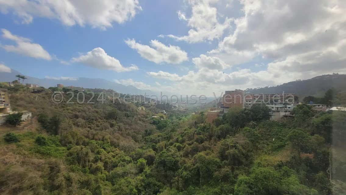 View 61