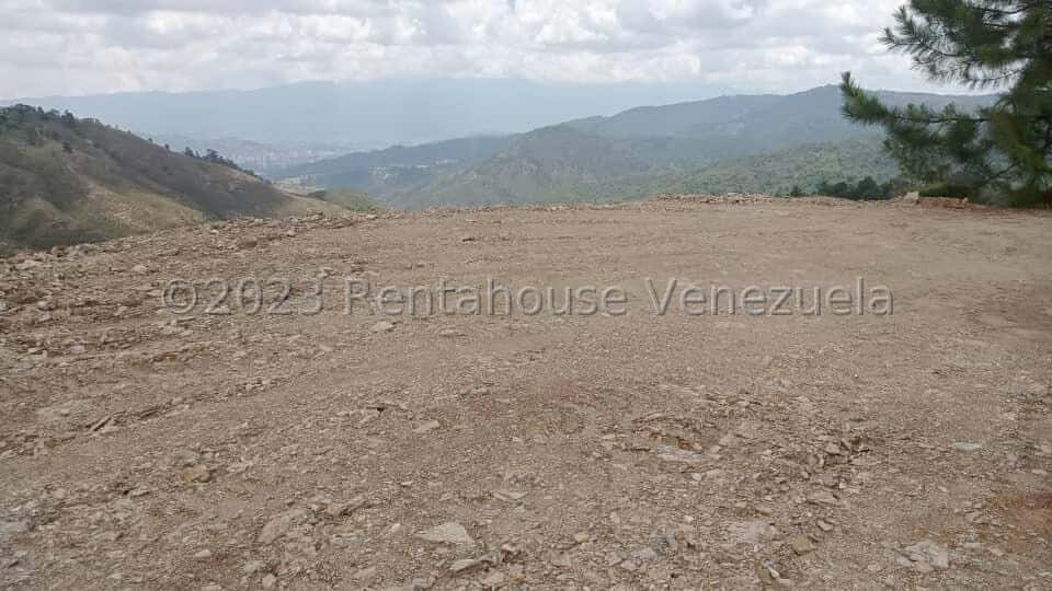View 5