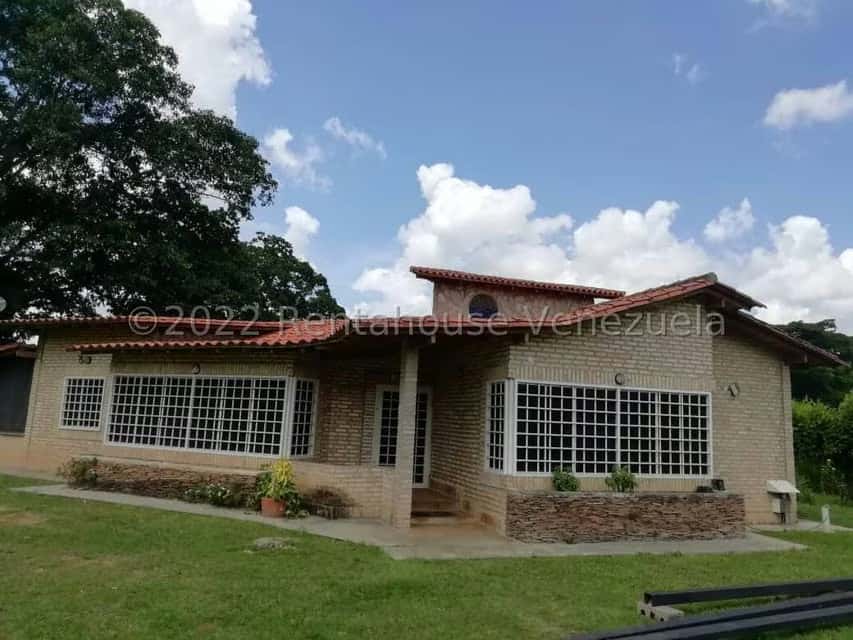 View 1