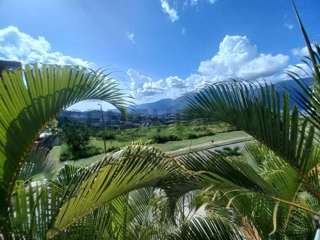 View 20