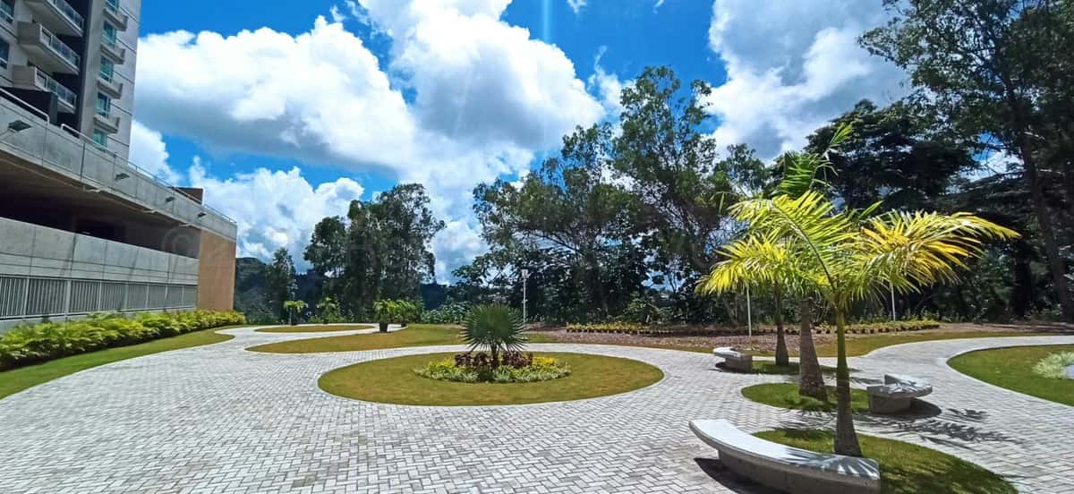 View 18