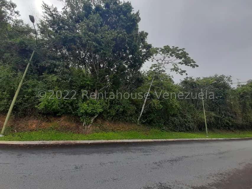 Vista 1
