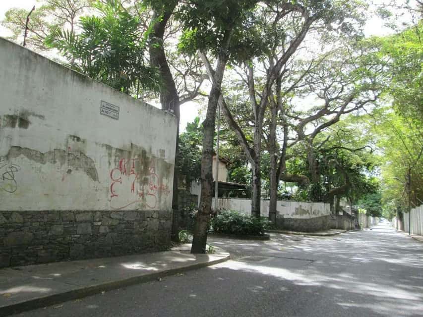 View 31