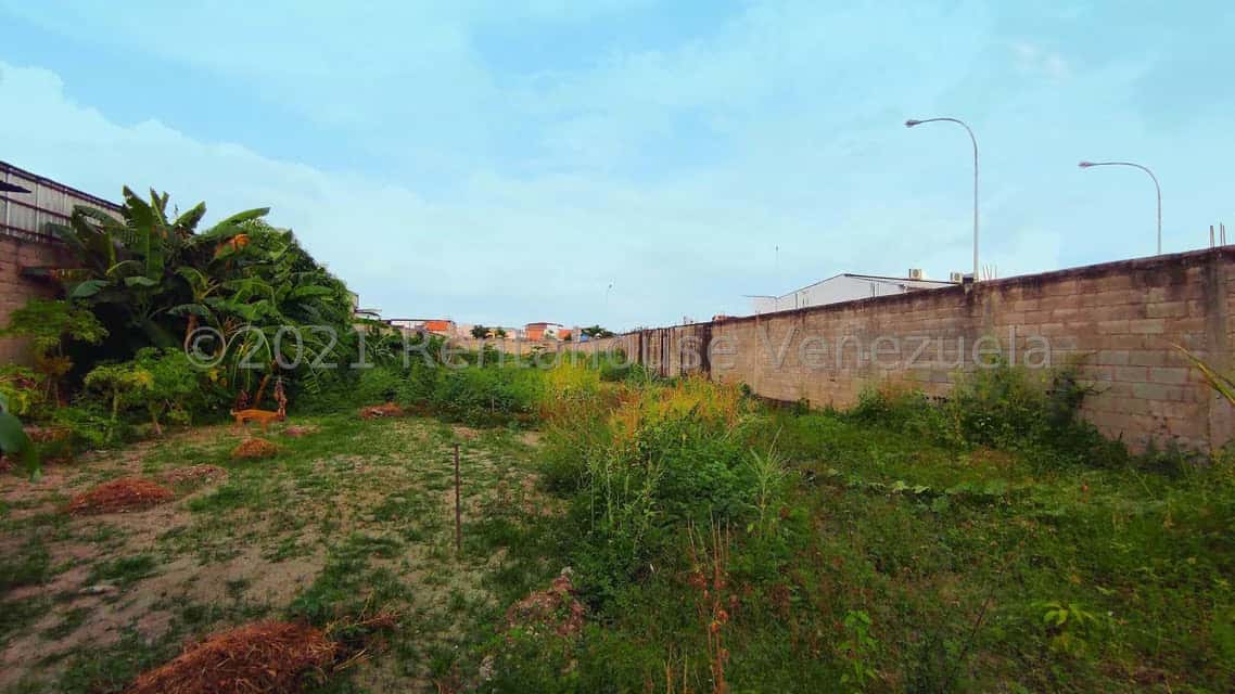 View 68
