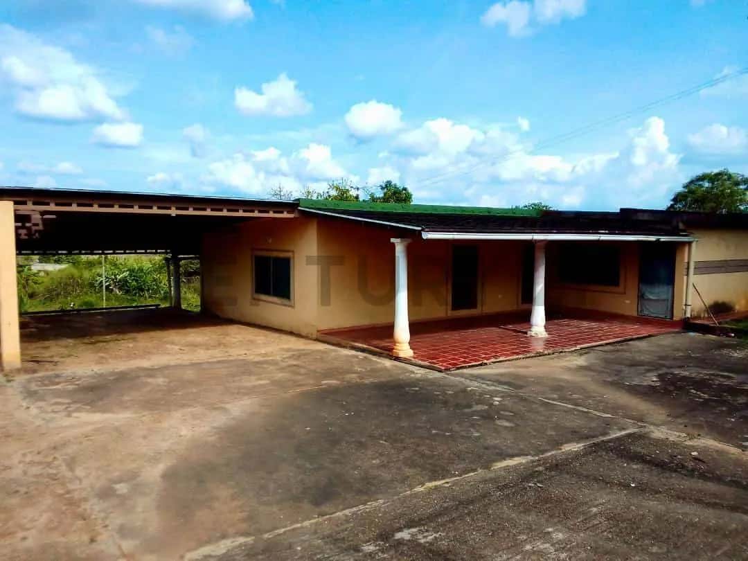 Vista 1