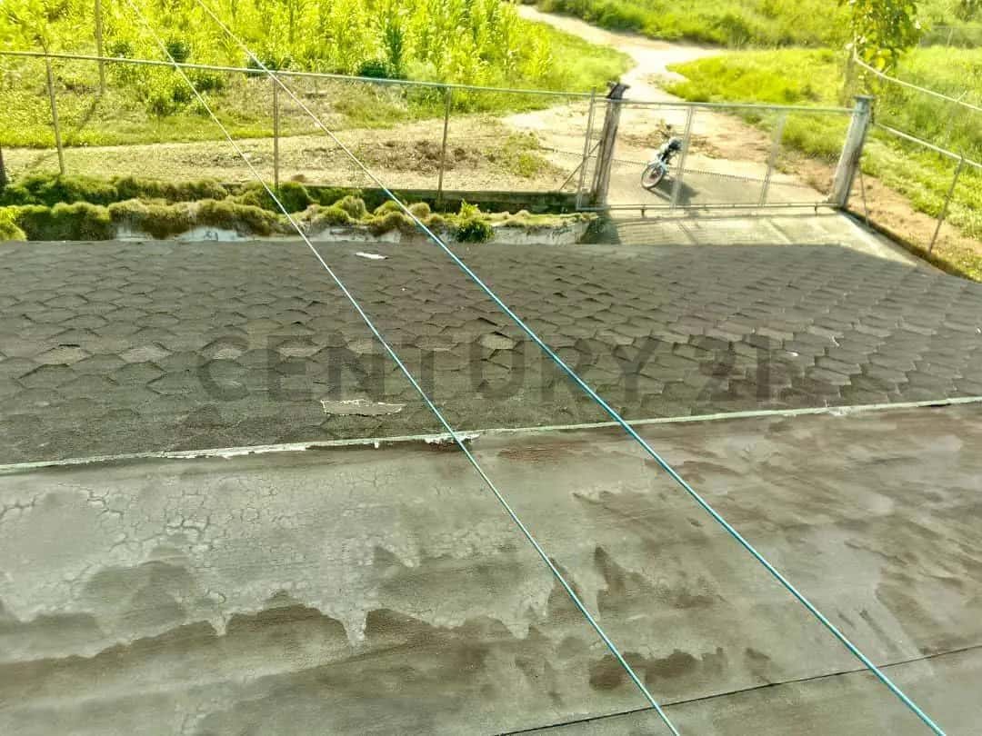 Vista 14