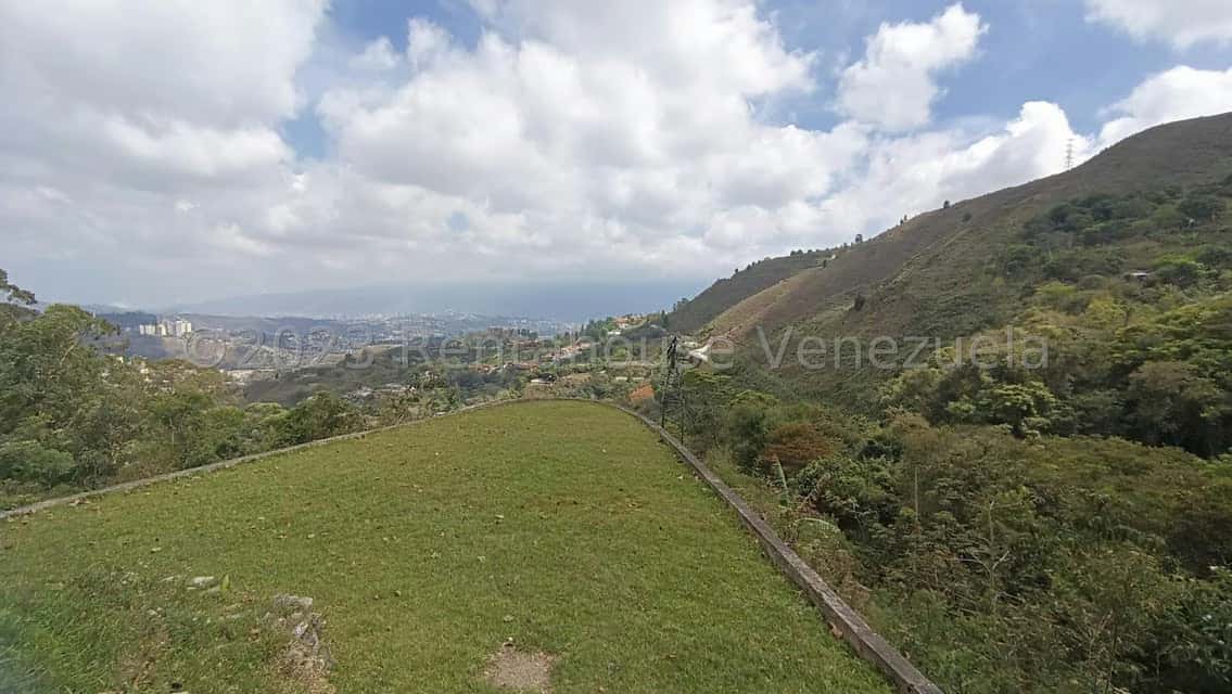 View 19