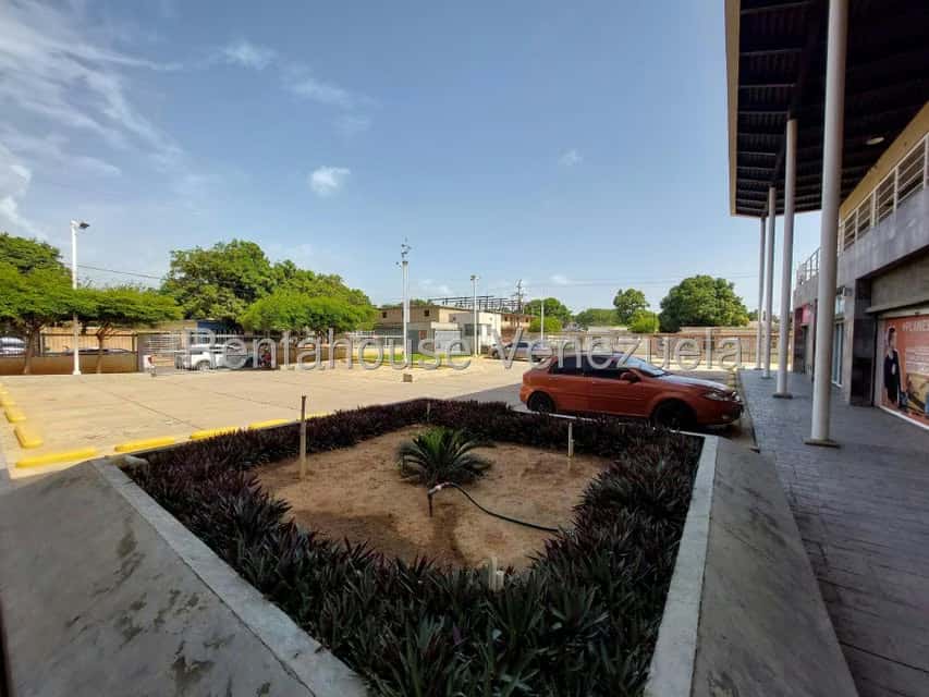 Vista 12