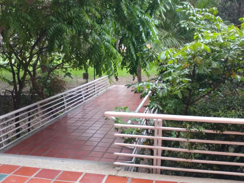 View 5