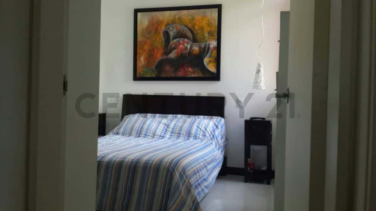 Vista 12