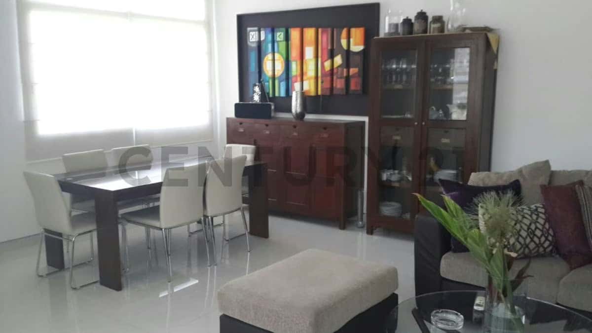 Vista 5