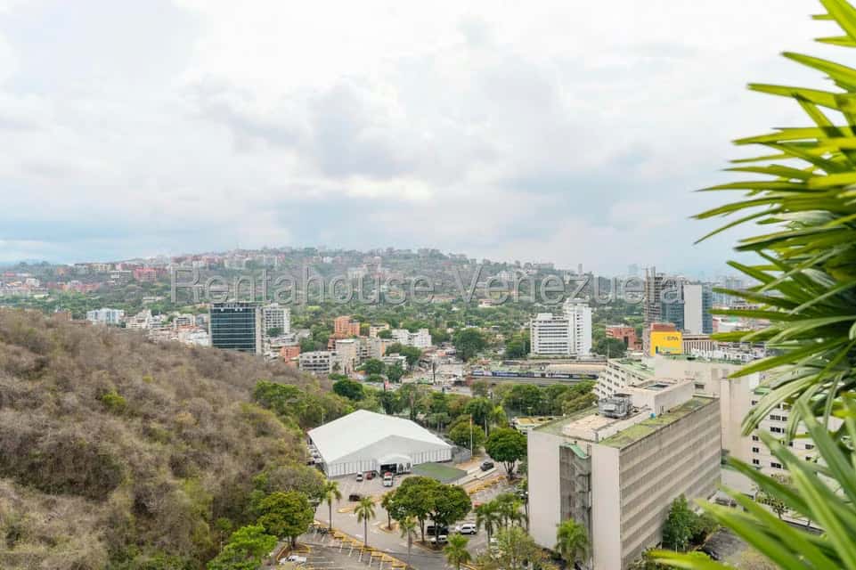 Vista 37