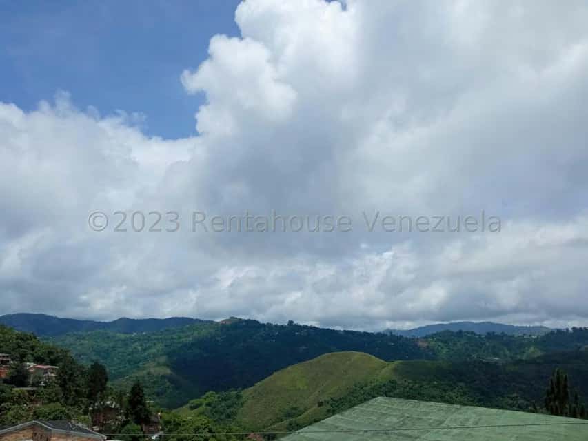 Vista 5