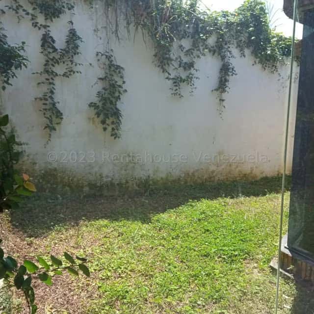 Vista 51