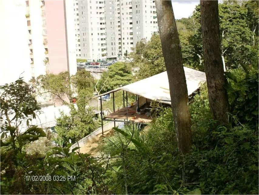 Vista 14