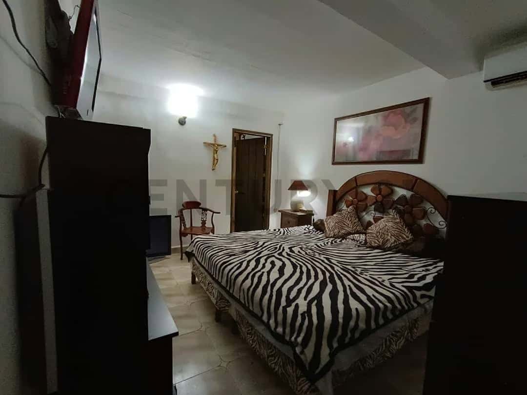 Vista 19
