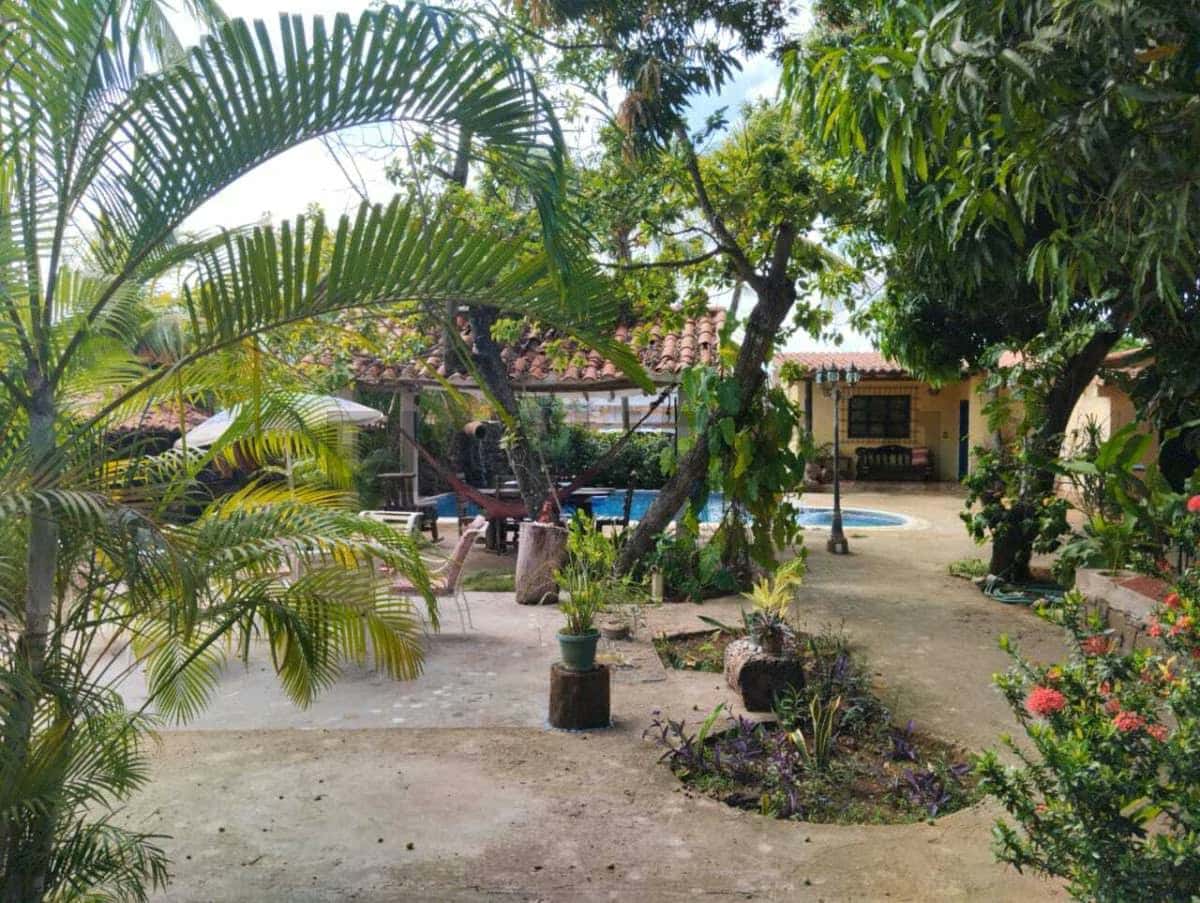 Vista 26