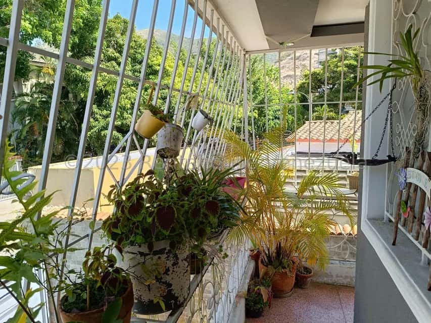 View 75