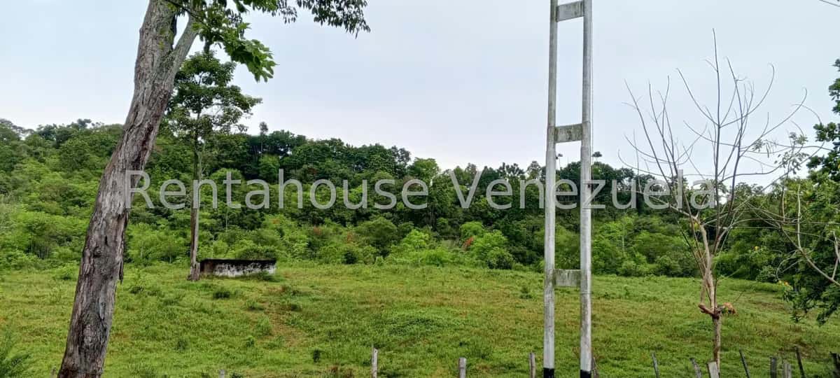 View 10