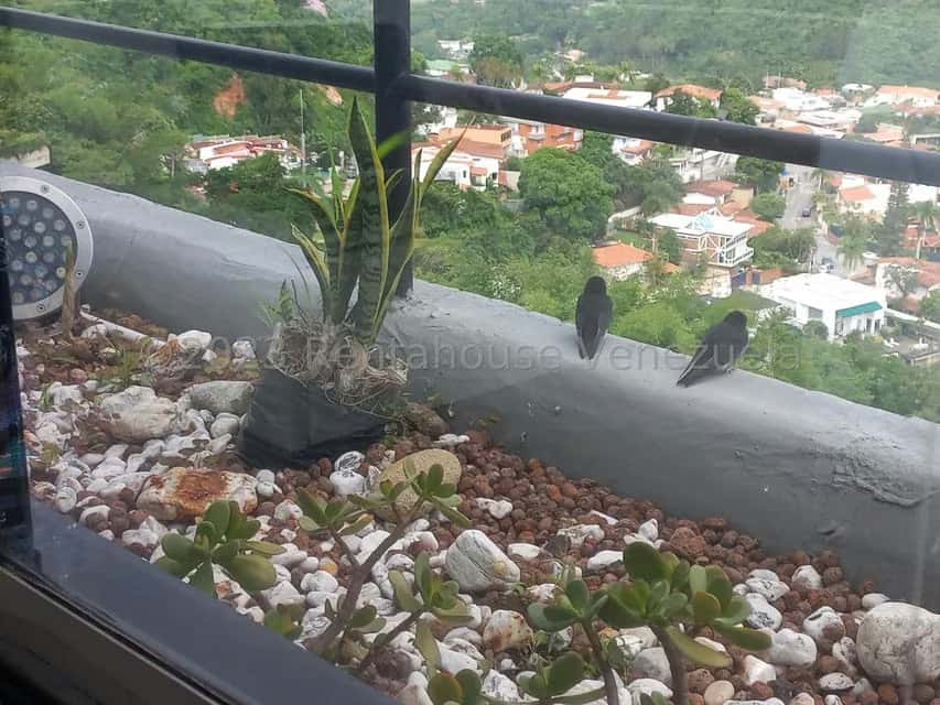 View 29