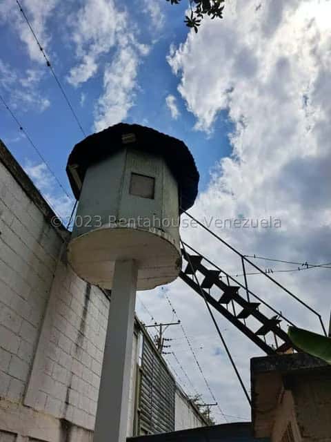 Vista 25