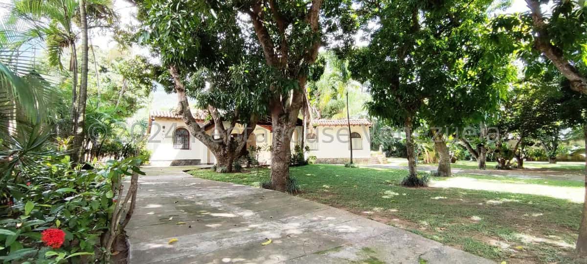 View 5