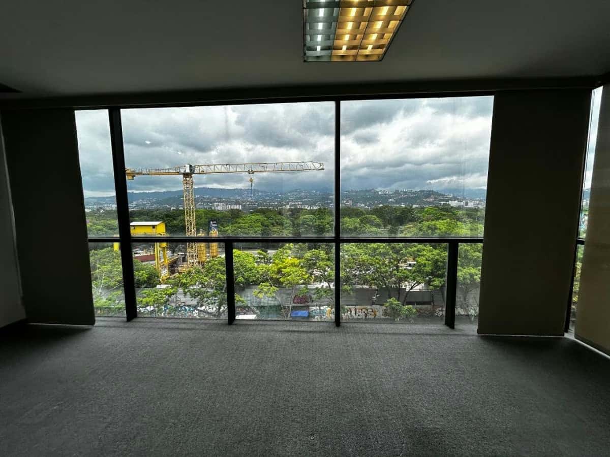 Vista 1