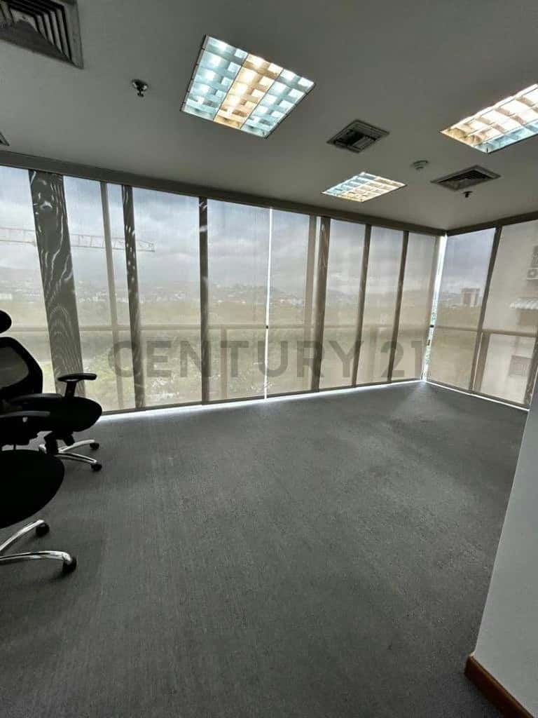 Vista 4