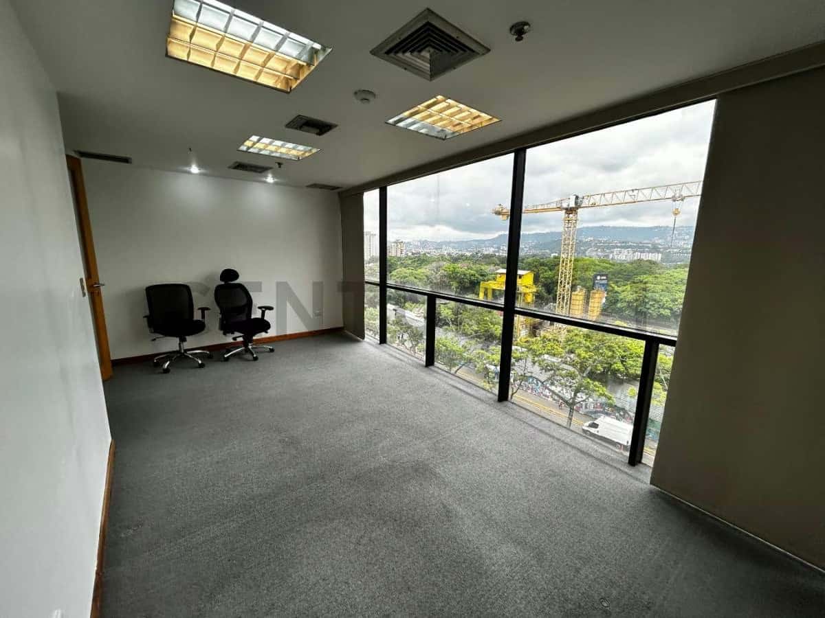 Vista 5