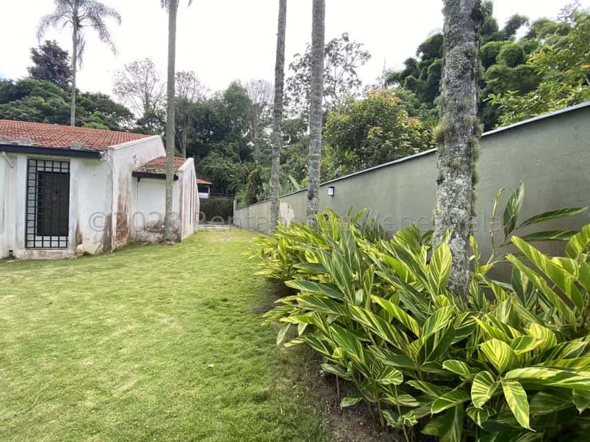 View 95