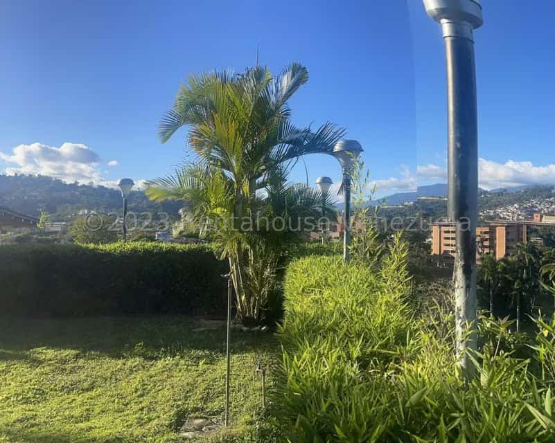View 32