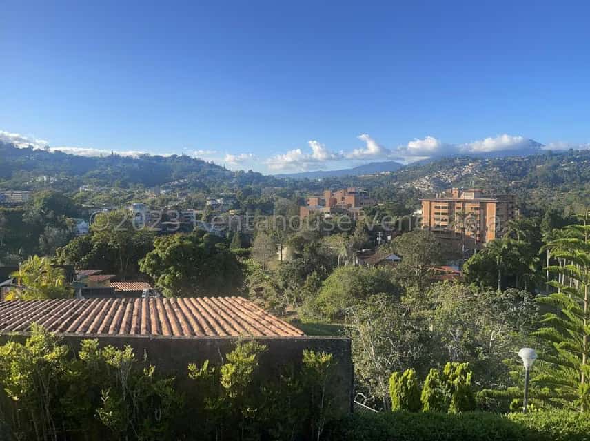 View 53
