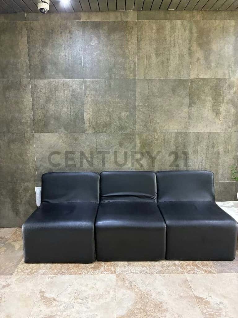 Vista 19