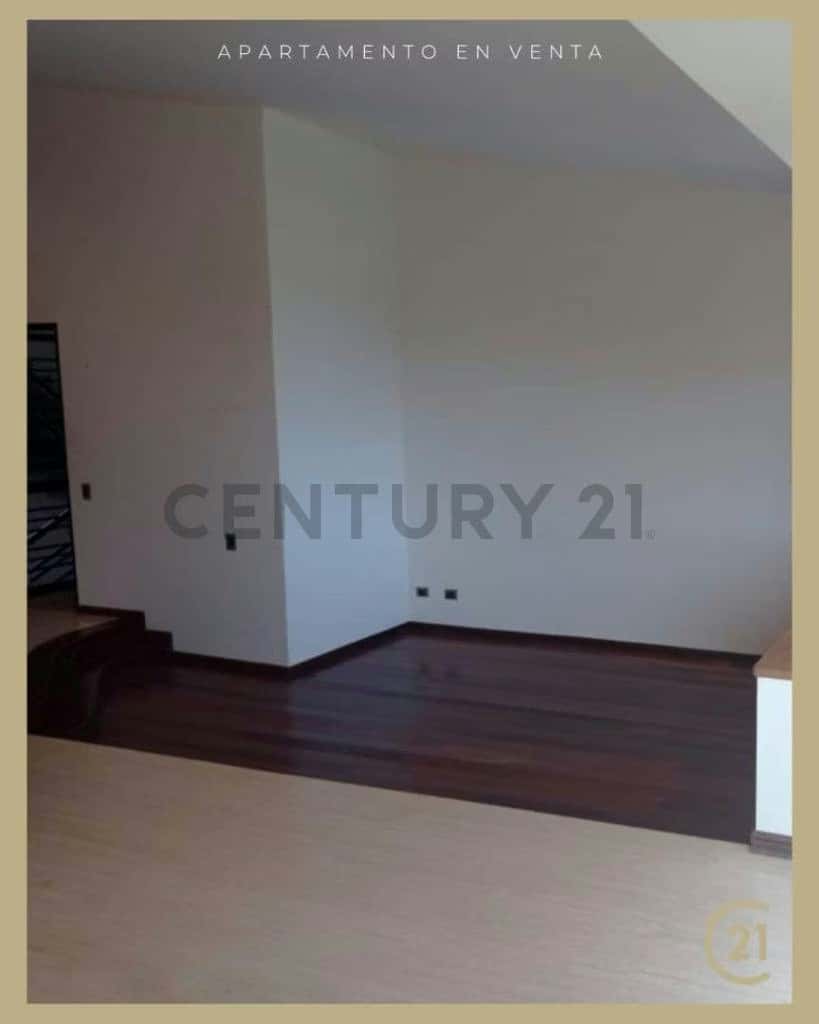 Vista 5