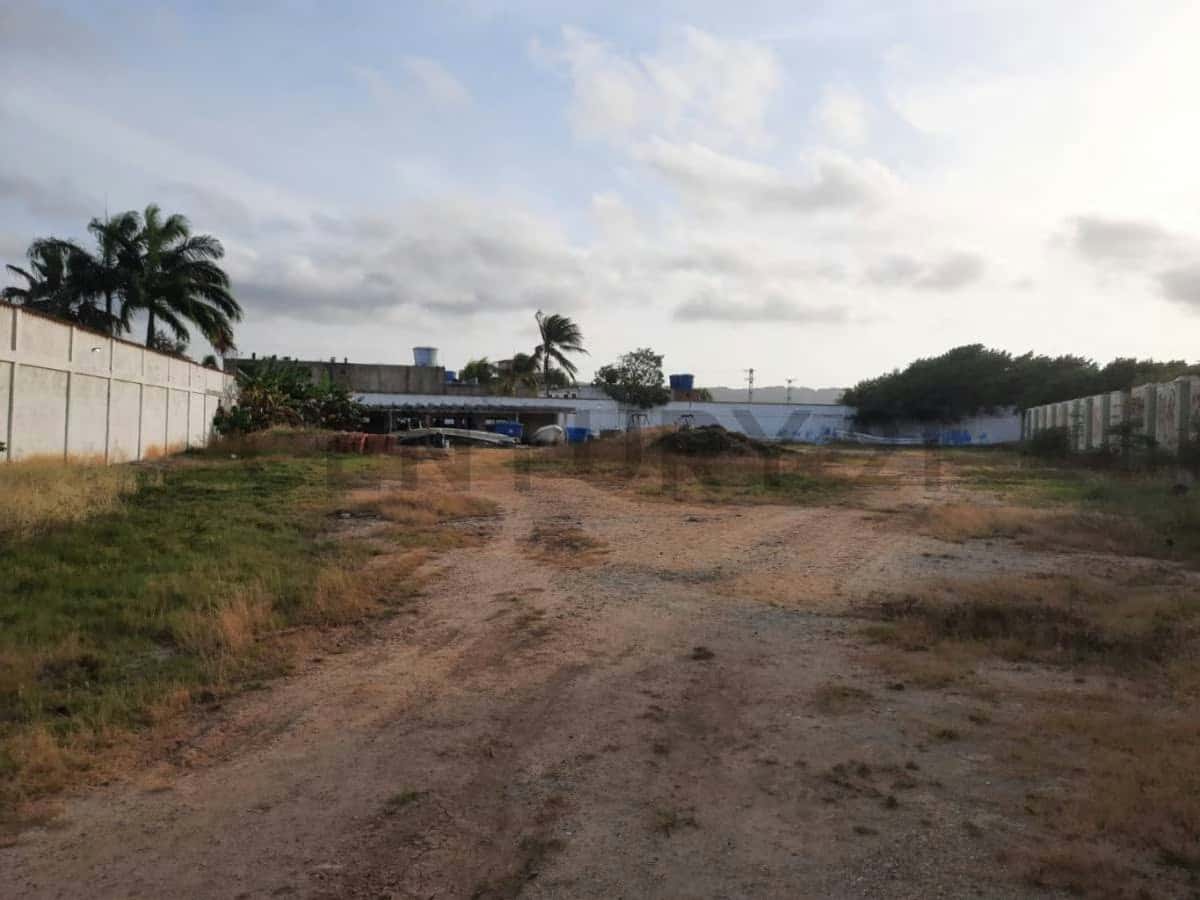 View 10