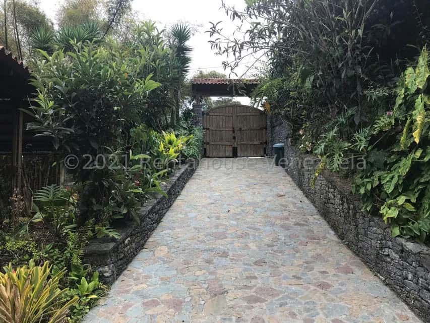 Vista 9