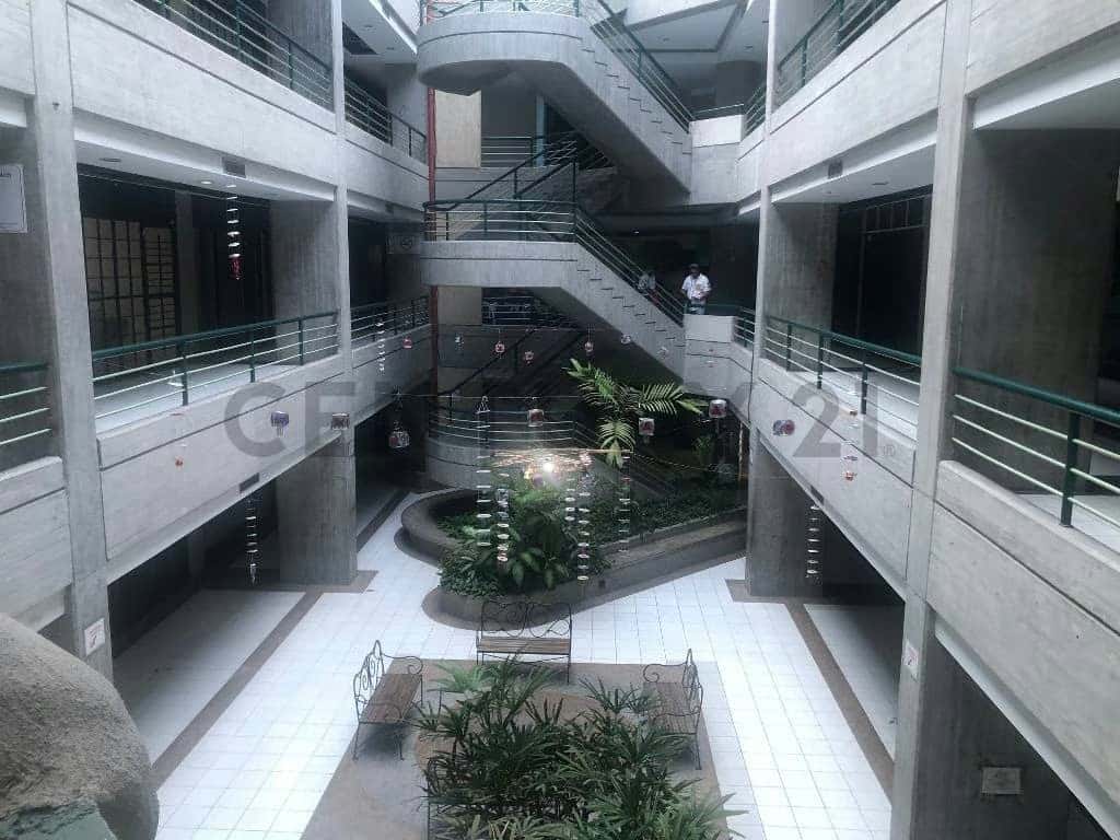Vista 21
