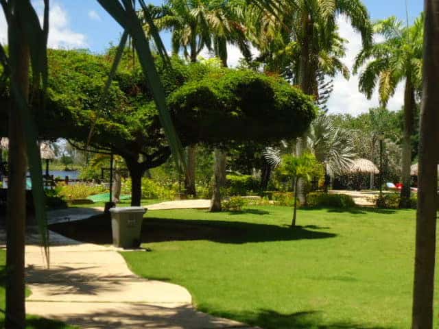View 25