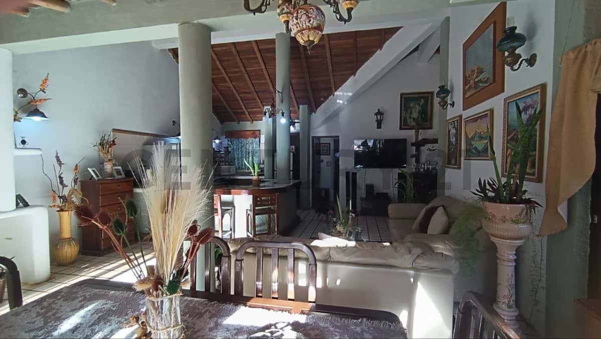 Vista 24