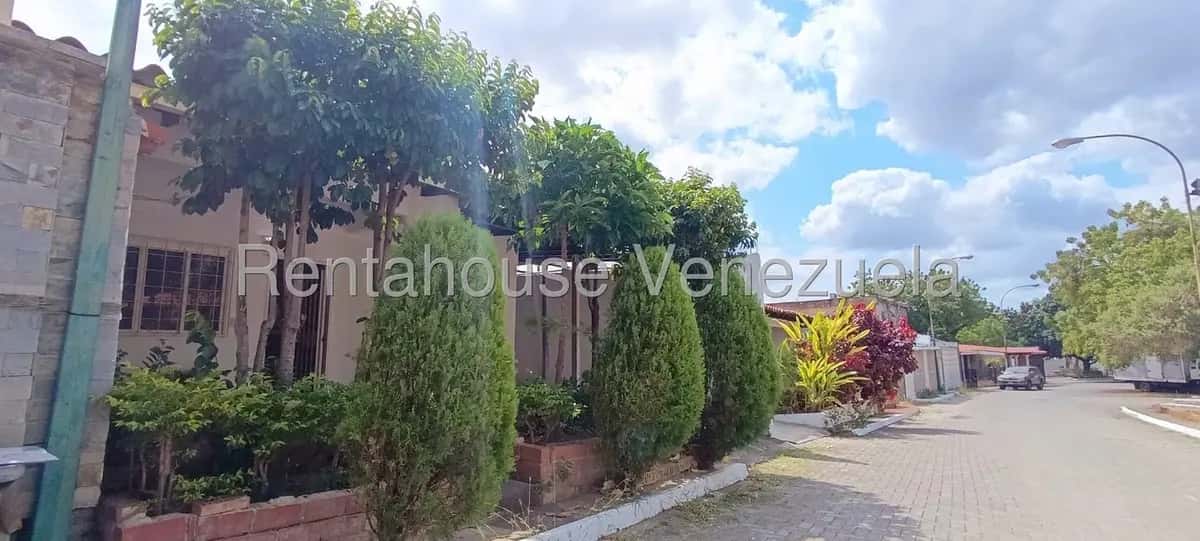 View 24