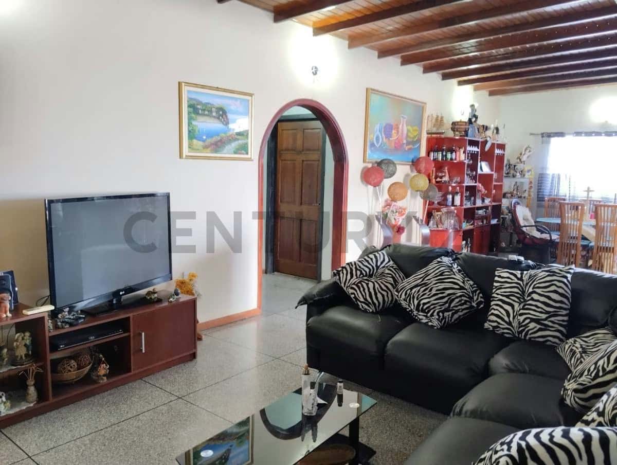Vista 6
