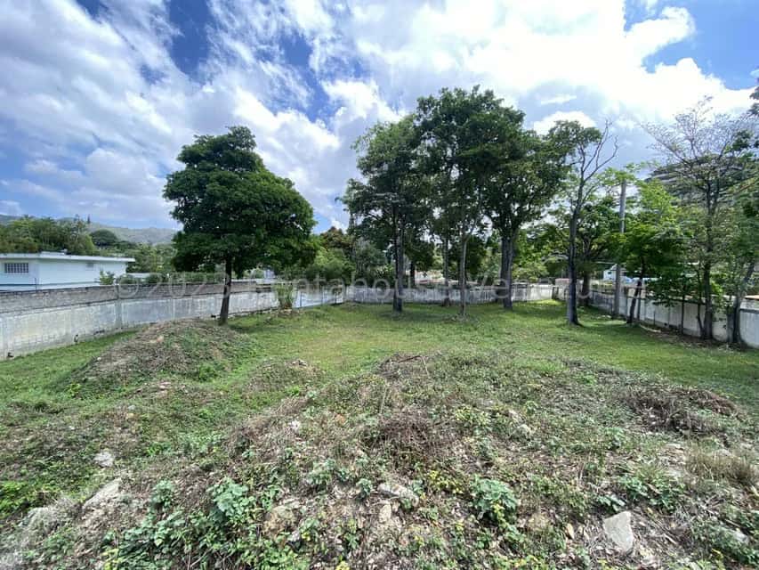 View 17