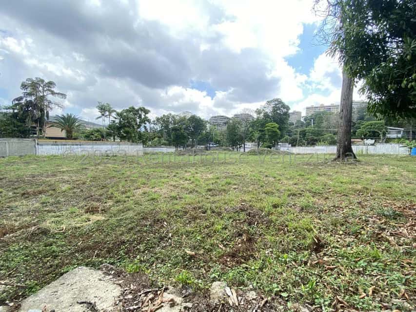 View 25
