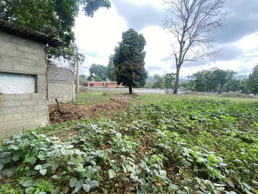 View 26
